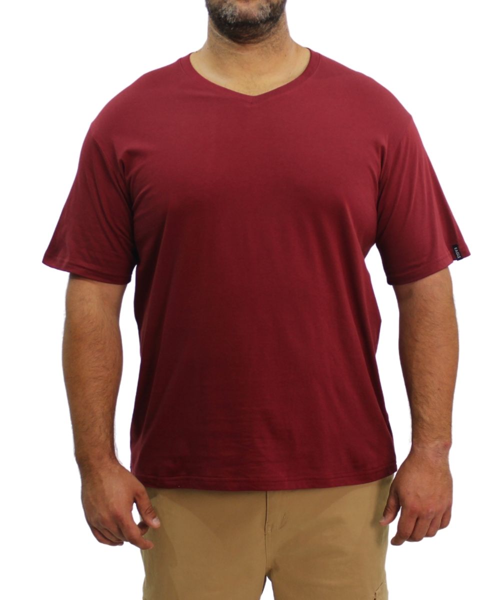 Mens Plain VNeck Tee