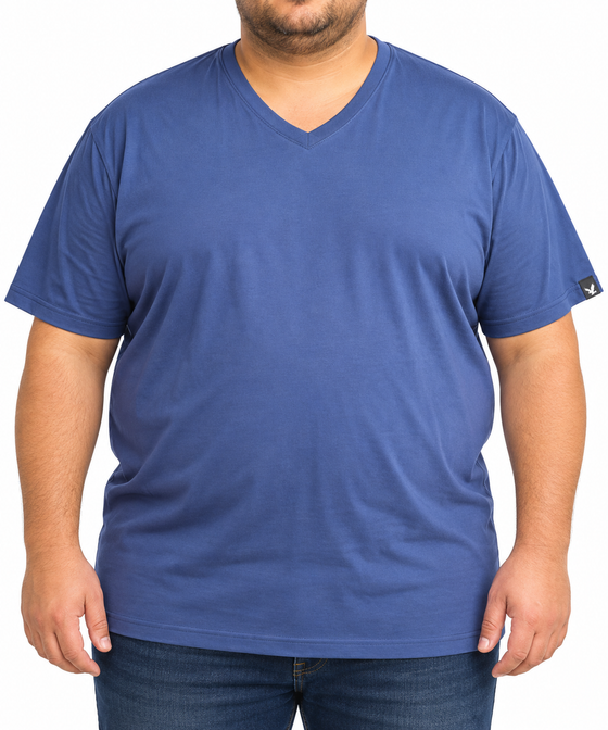 Mens Plain VNeck Tee