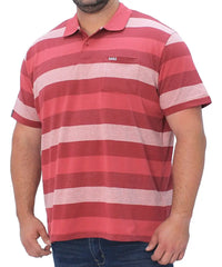 Mens Eagle Stripe Golfer | R399.90 Clothing Plus Size Big & Tall