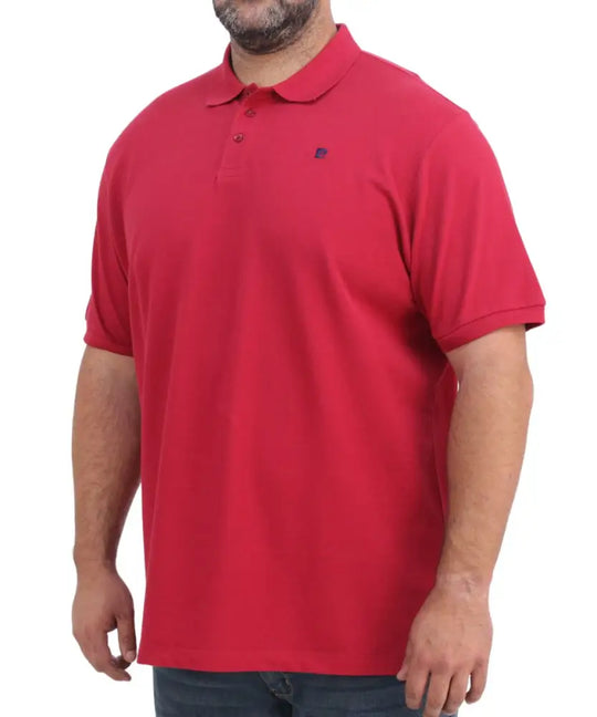 Mens Pierre Cardin Pique Golfer