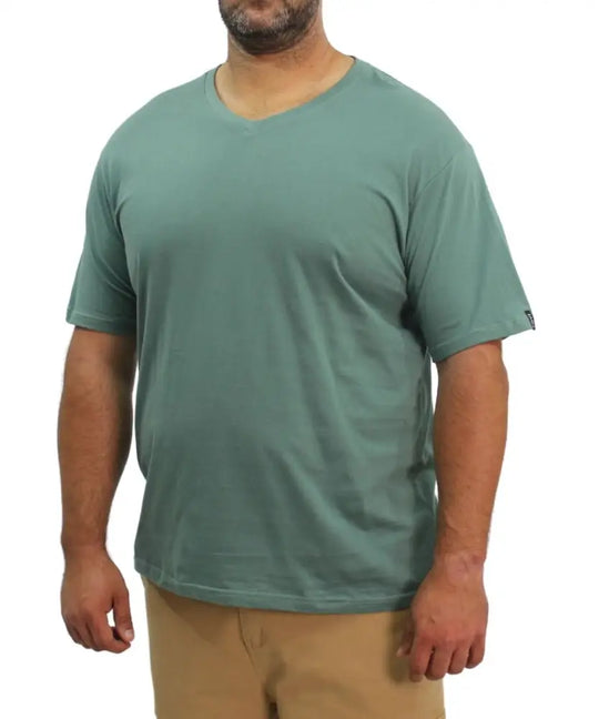 Mens Plain VNeck Tee