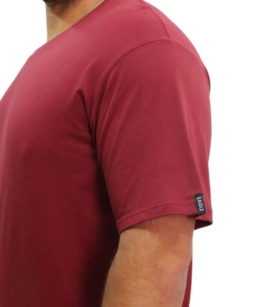 Mens Plain VNeck Tee | Eagle Clothing | Plus Size | Big & Tall