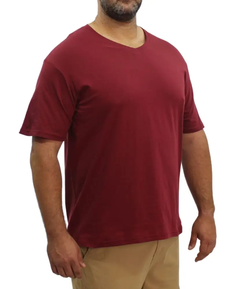 Mens Plain VNeck Tee | Eagle Clothing | Plus Size | Big & Tall