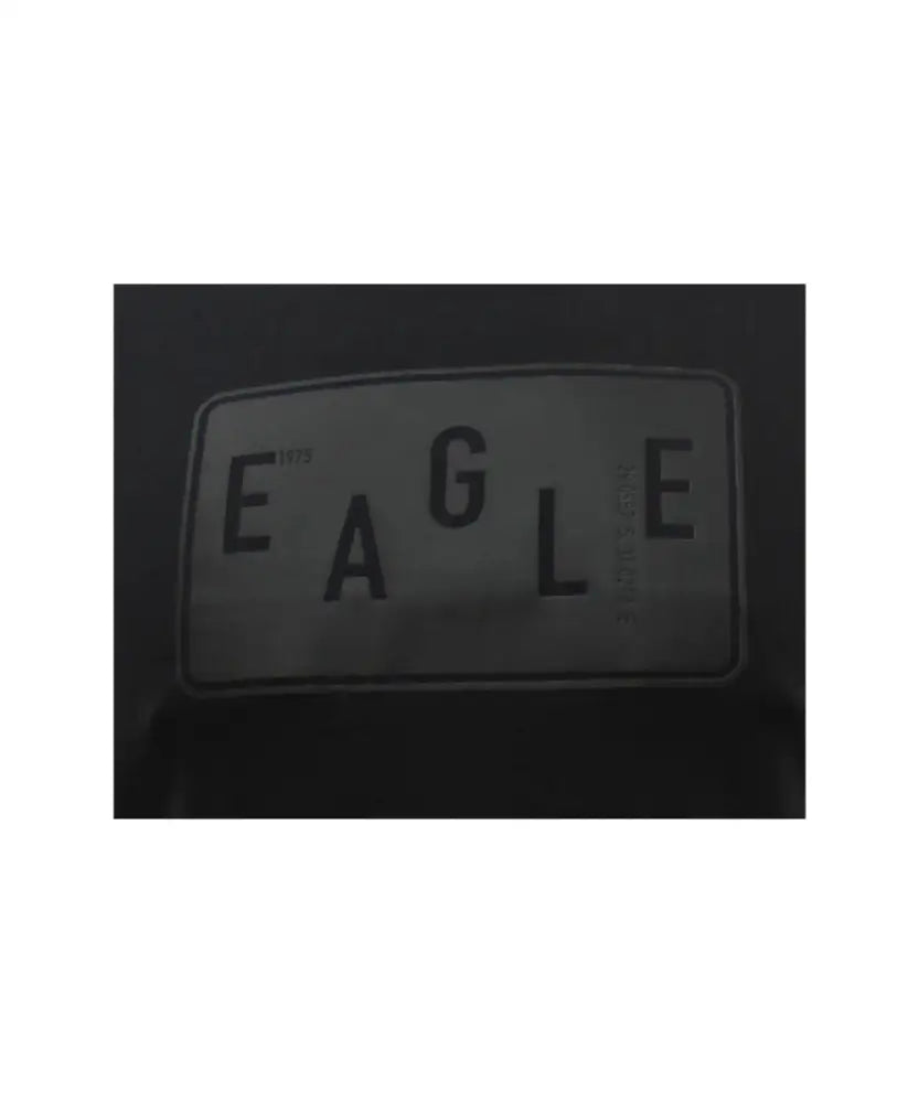 Mens Printed Eagle Tee | Eagle Clothing | Plus Size | Big & Tall