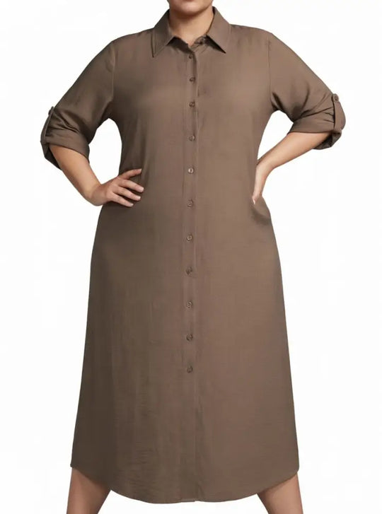 Ladies Plain Collar Shirt Dress